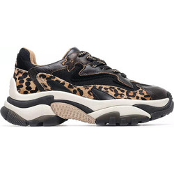 ASH Γυναικεία Sneakers Chunky Μαύρα Καφέ FW24-S-126379-004