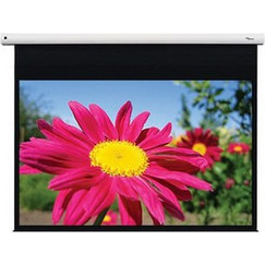 Optoma DE-1123EGA Οθόνη Προβολής Projector Τοίχου / Οροφής 16:10 265x166cm / 123"