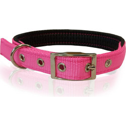 Pet Interest Neoprene Standard Fluo Κολάρο Σκύλου Ροζ 2x50cm