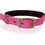 Pet Interest Neoprene Standard Fluo Κολάρο Σκύλου Ροζ 2x50cm