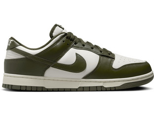 Nike Dunk Low Retro Ανδρικά Sneakers Χακί HF5441-102