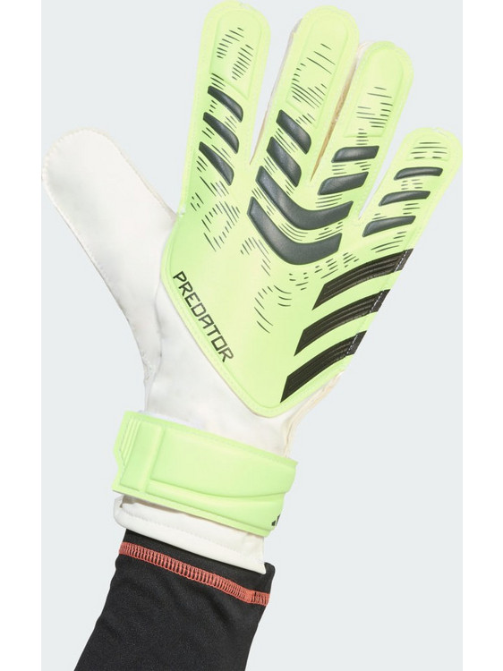 Adidas Predator Γάντια Τερματοφύλακα Lime JN5356