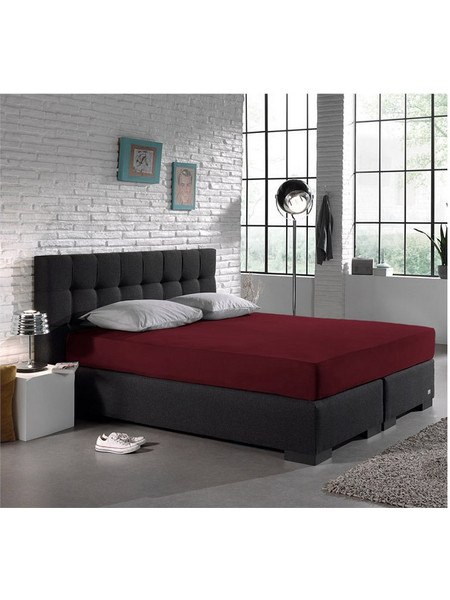 DreamHouse Σεντόνι King Size Βαμβακερό με Λάστιχο 190x200+30 Μπορντό 8717703801453
