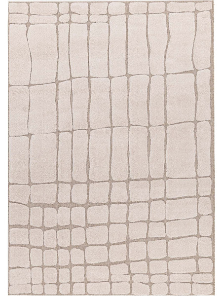 Royal Carpet Desert Χαλί Ορθογώνιο 200x290cm 40405 651 Beige