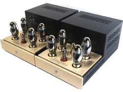 Canary Audio M250 Monoblock