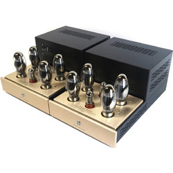 Canary Audio M250 Monoblock