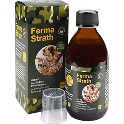 Anima Strath Ferma-Strath Συμπλήρωμα Διατροφής Σκύλου για Ενέργεια & Τόνωση σε Σιρόπι 250ml