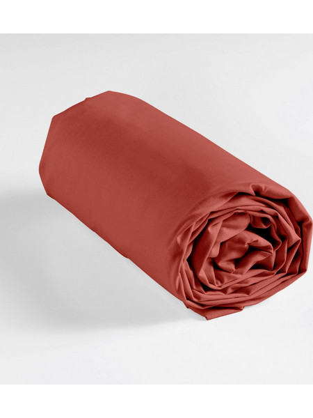 Douceur d'interieur Σεντόνι King Size Βαμβακερό με Λάστιχο 180x200+30 Lina Terracotta