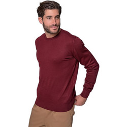 Ben Tailor Ανδρικό Πουλόβερ BENT.0834