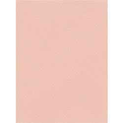 Favini Χαρτόνι Κανσόν Σομόν 50x70cm 831.5070.25T