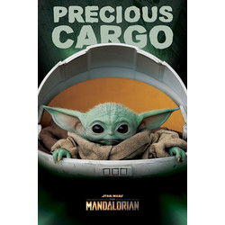 Star Wars: The Mandalorian (Precious Cargo) (No.1 - PP34610) 61x91.5cm