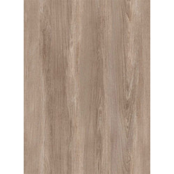 Laminate Elegance Genesis Elm AC5 8mm 8201 Alfa Wood