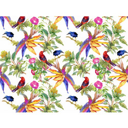 Contento Matteo Σουπλά Βινυλίου 40x30 Natural Tropical Birds