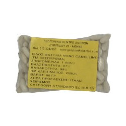 ΦΑΣΟΛΙΑ ΧΑΜΗΛΑ ΓΙΑ ΞΕΣΠΥΡΙΣΜΑ (CANELLINO)