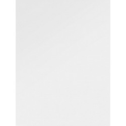 Πλεξιγκλάς 20cm x 30cm
