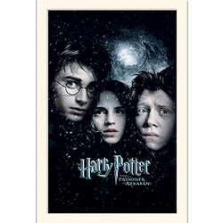 Harry Potter (Prisoner Of Azkaban) Wooden Mounted 30 x 40cm Print - LMP10685P