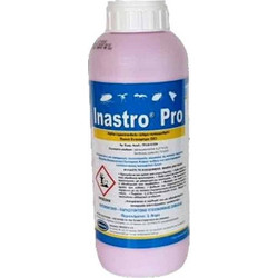 BASF Inastro Pro Εντομοκτόνο για Κουνούπια, Μύγες & Μυρμήγκια 1lt