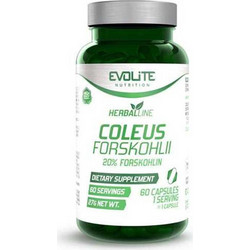 Evolite Coleus Forskohlii 60 Κάψουλες