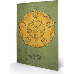 GAME OF THRONES - Printing on wood 40X59 - Tyrell