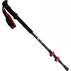 ALPINTEC - PINDOS CARBON