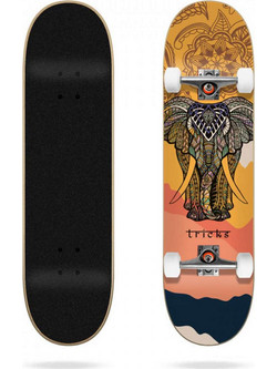 TRICKS Mandala Complete Skateboard 7.87