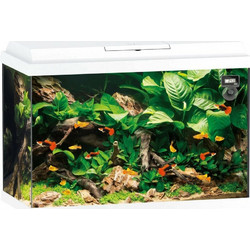 Juwel Aquarium Primo 70 LED Ενυδρείο Ψαριών με Φωτισμό, Θερμαντήρα, Κυκλοφορητή & Φίλτρο 70lt Λευκό