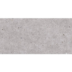 Πλακάκι Basel Gris 30x60R Γκρι Ματ