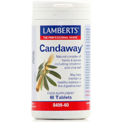 Lamberts Candaway Φυτικές Ίνες 60 Ταμπλέτες