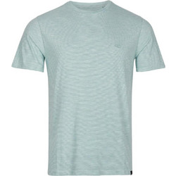 O'neill Ανδρική κοντομάνικη μπλούζα Mini Stripe T-Shirt 2850018-16015