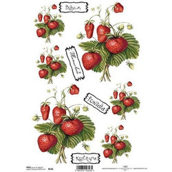 Ριζόχαρτο strawberries 21x29εκ. (ITD-R126)