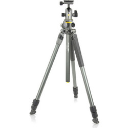 Vanguard Alta Pro 2 263AB100 With Head