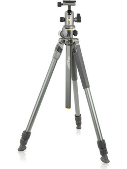 Vanguard Alta Pro 2 263AB100 With Head