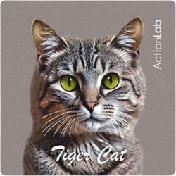 Action Lab Μαγνητάκι Magnet Tiger Cat Grey