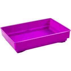 Zazu Bird Plastic Tray For No6