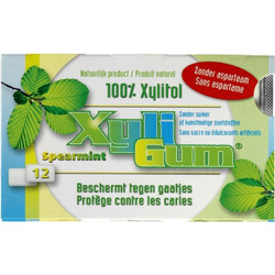 Τσίχλες ξυλιτόλης με γεύση Δυόσμο - Xyligum - 15gr