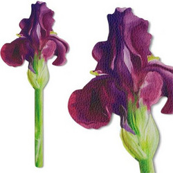 Σελιδοδείκτης If Flower Iris