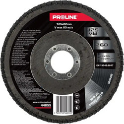 Τροχός Λείανσης Proline Με Πτερύγια 125mm Gr 60 (44855)