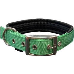 Pet Interest Neoprene Standard Κολάρο Σκύλου Πράσινο 2x50cm