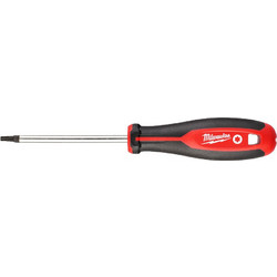 ΚΑΤΣΑΒΙΔΙ TORX T25X100 MW