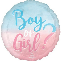 Lion Gender Reveal (A4283401)