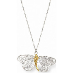 Real Butterfly Silver Necklace, Handmade Nature Jewelry, Organic Chain Pendant, Gift for Freedom & Beauty, Sterling Silver 925