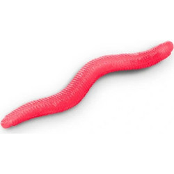 Delphin B! StinxWORM Τεχνητό Δόλωμα 4cm Fire