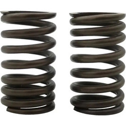 ΕΛΑΤΗΡΙΑ ΒΑΛΒΙΔΩΝ RACING CRYPTON 110/115 2.8x34.1L TOBAKI 2TEM