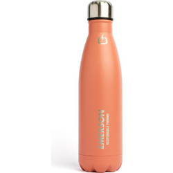 Emerson Double Wall Vacuum Bottle 222.EU99.02 Peach 500ml