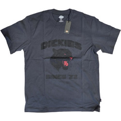 DICKIES MCDERMITT TEE CHARCOAL DK0A8CU20CH1