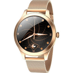 Maxcom Fit FW42 Gold