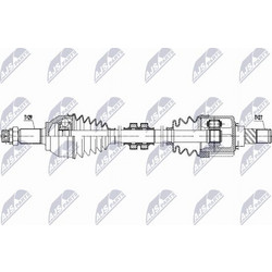 NTY NPW-NS-181
