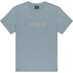 RIPNDIP YUBG MONEY T-SHIRT SILVER BLUE