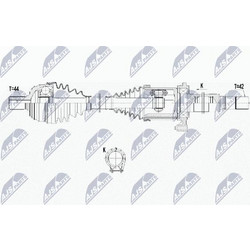 NTY NPW-WW-179