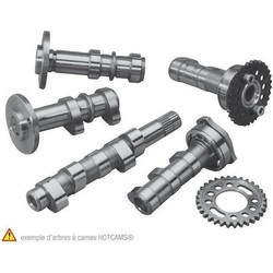 HOT CAMS Camshaft - Stage 1 Honda CRF150R